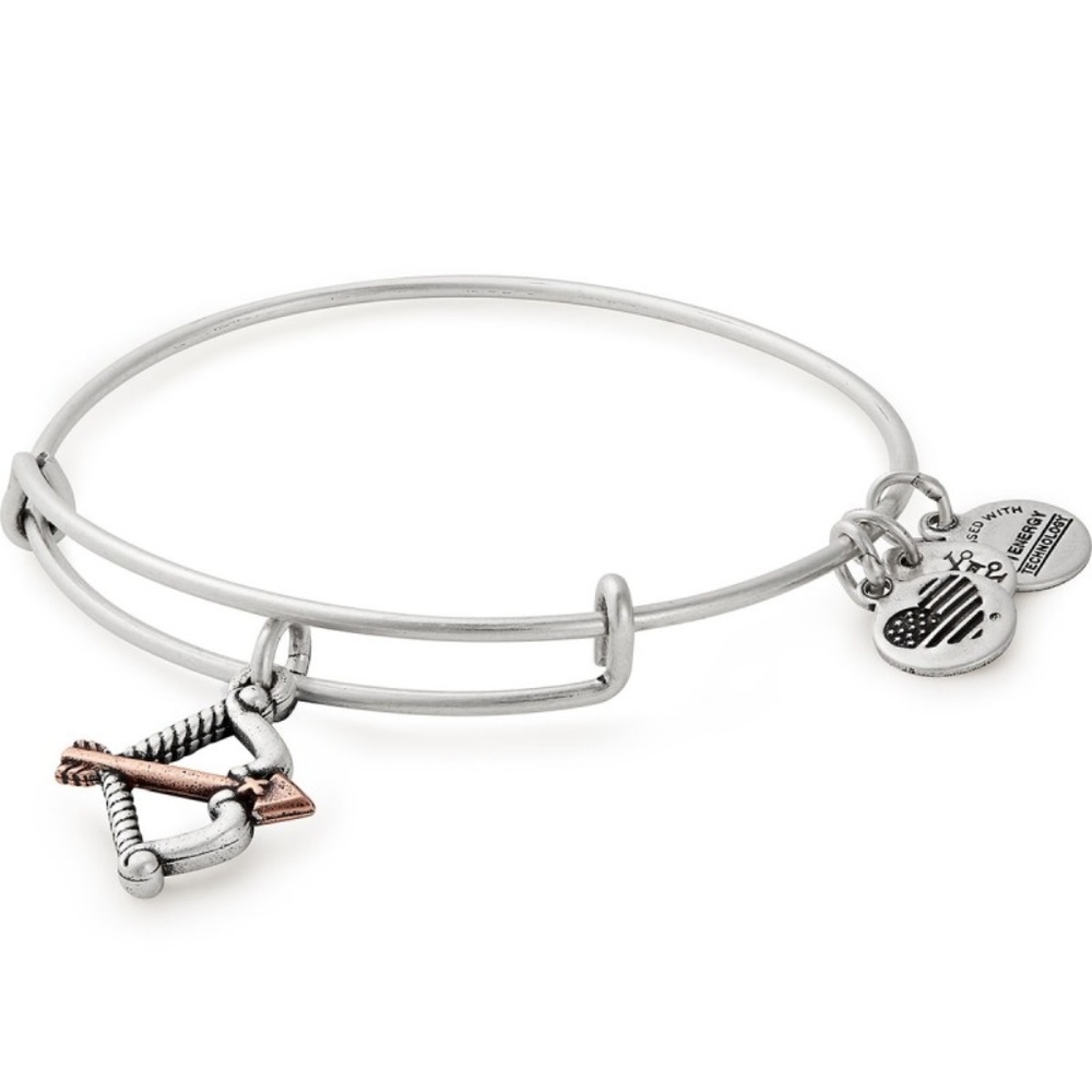 ALEX AND ANI Cupid's Arrow Two Tone Charm Bangle